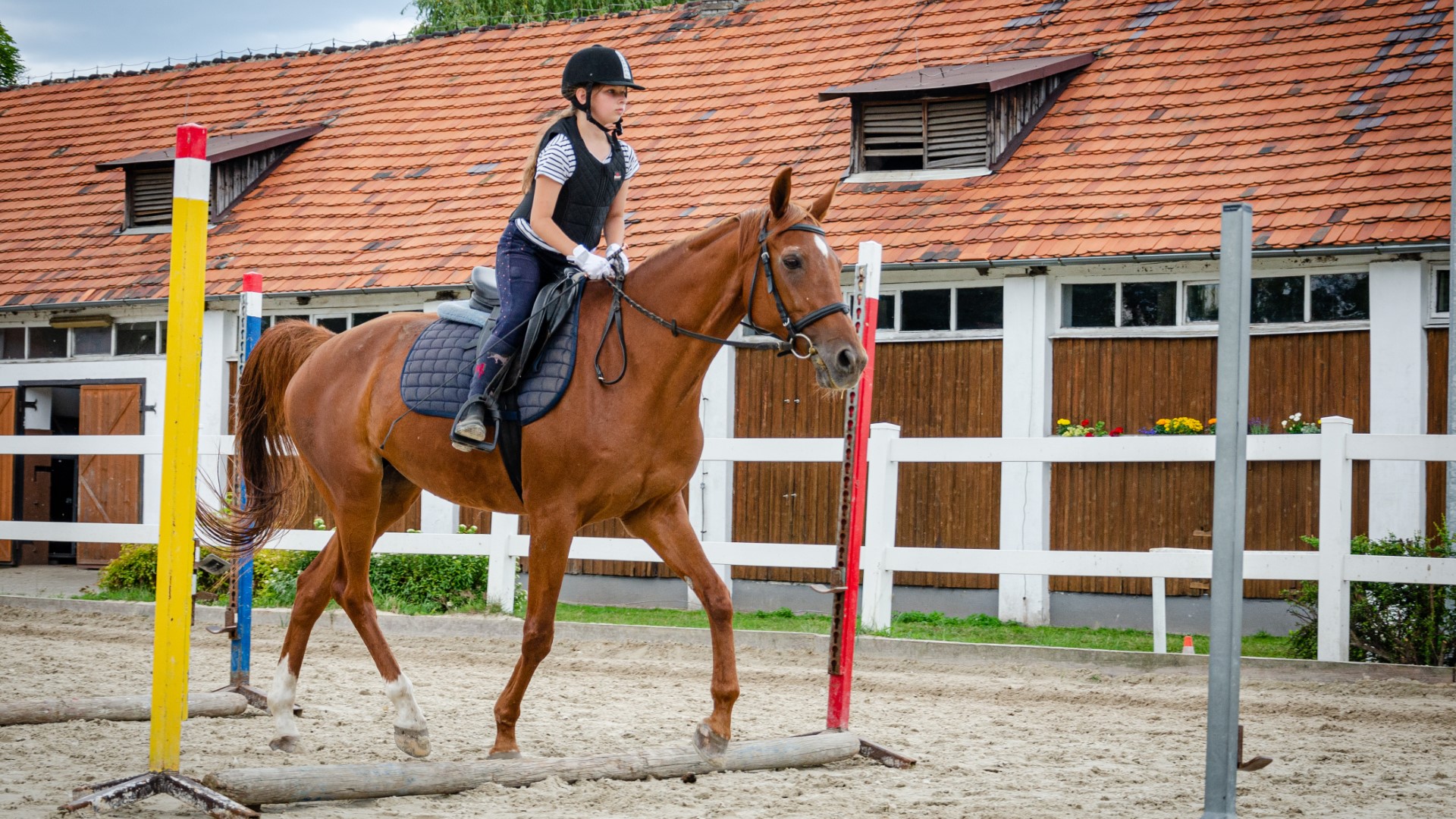 Zbros�awice - kurs je�dziectwa