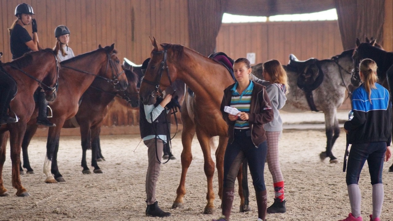 Zbros�awice - kurs je�dziectwa