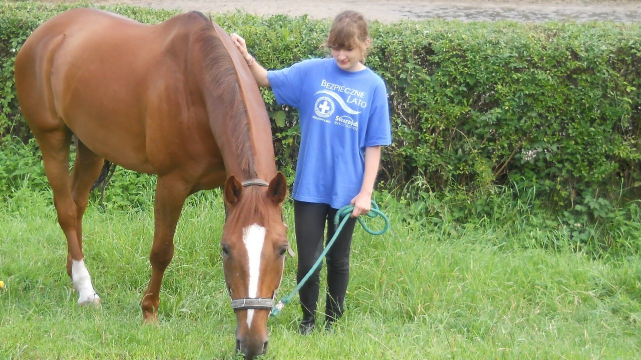 Zbros�awice - kurs je�dziectwa