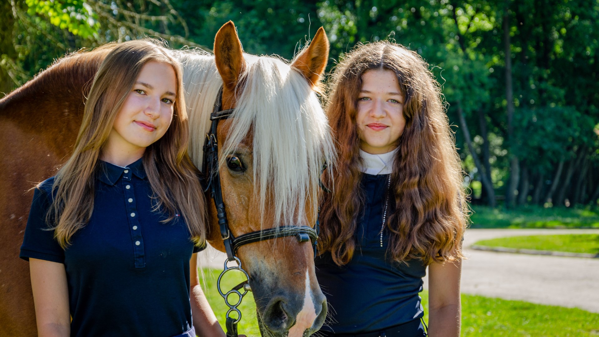 Zbros�awice - ob�z je�dziecki