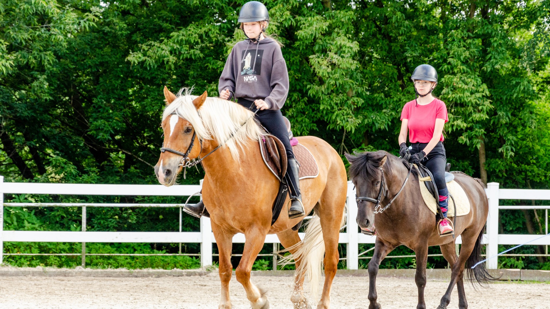 Zbros�awice - ob�z je�dziecki