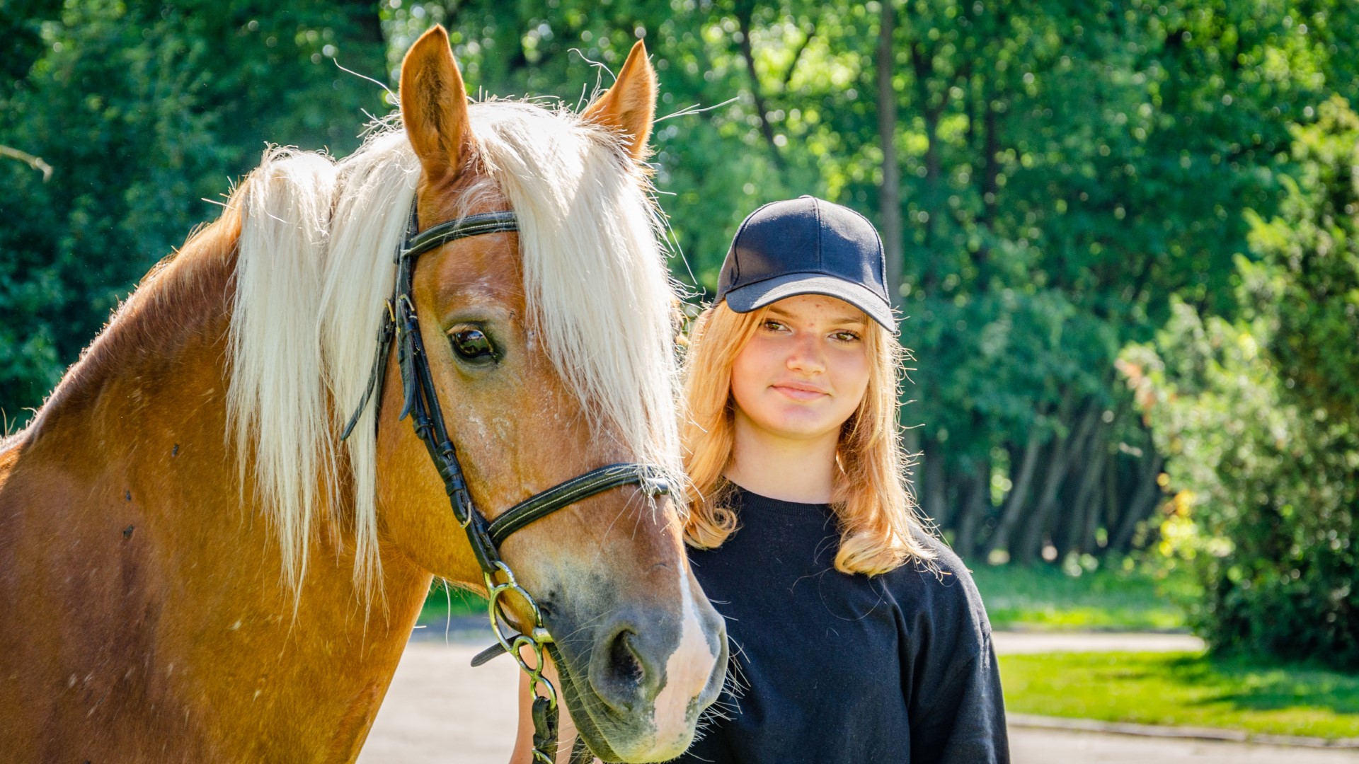 Zbros�awice - ob�z muzyczno-konny