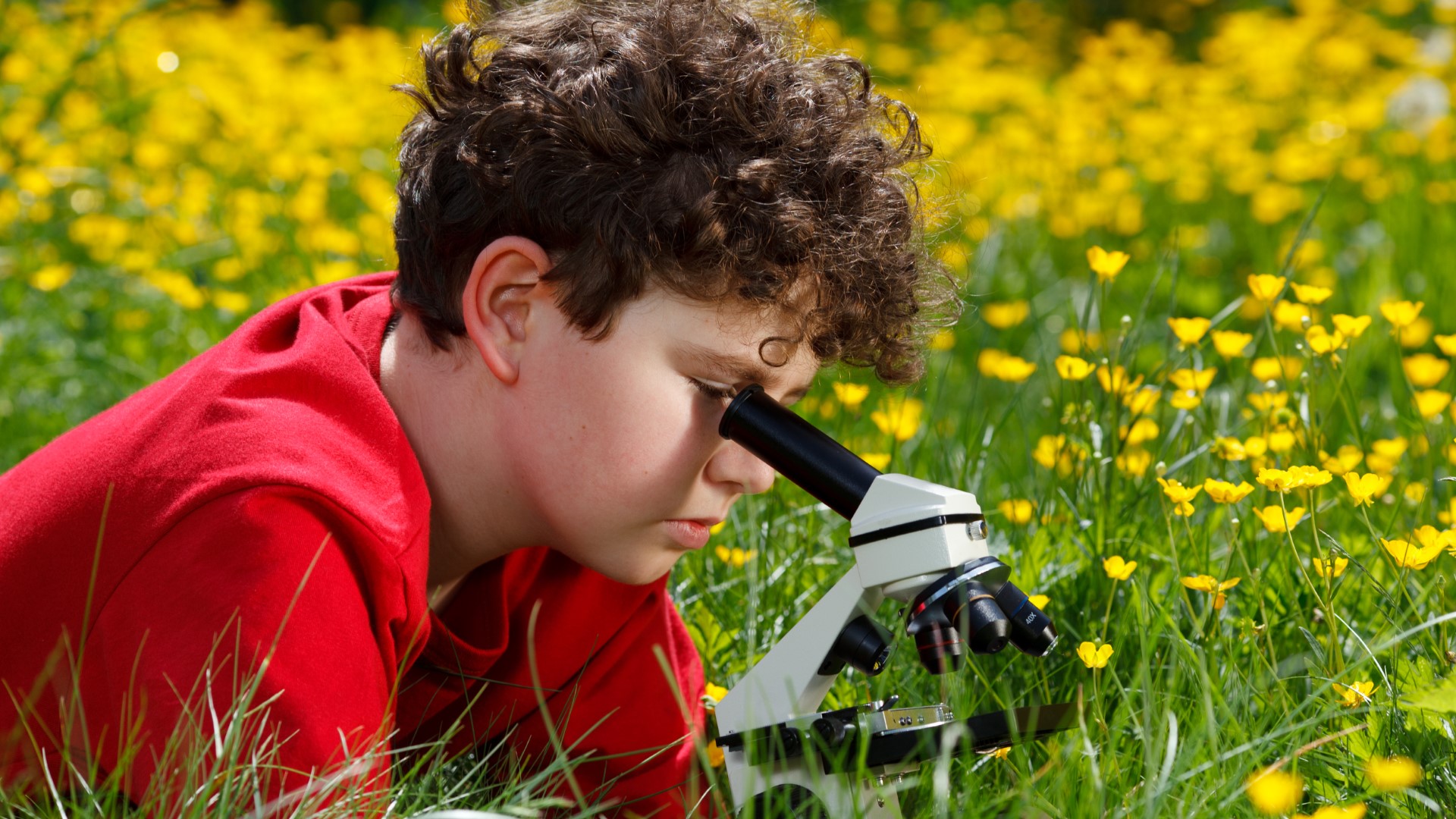 Ustro� - Beskidy - m�ody detektyw