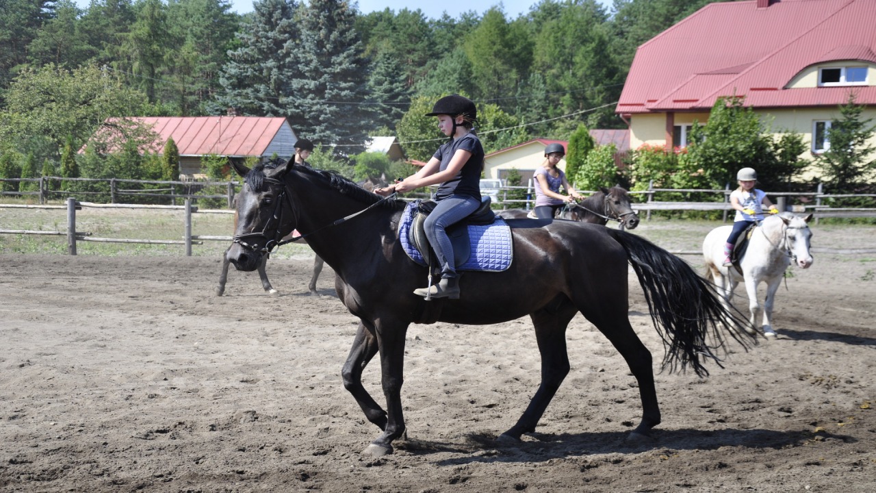 Jan�w Lubelski - ob�z konny