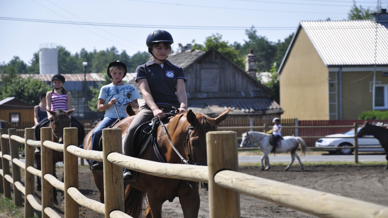 Jan�w Lubelski - ob�z konny