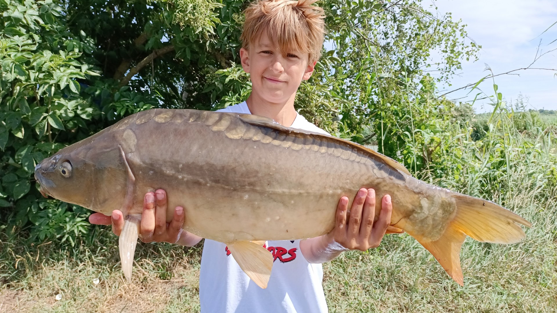 Zamrzenica - ob�z w�dkarski