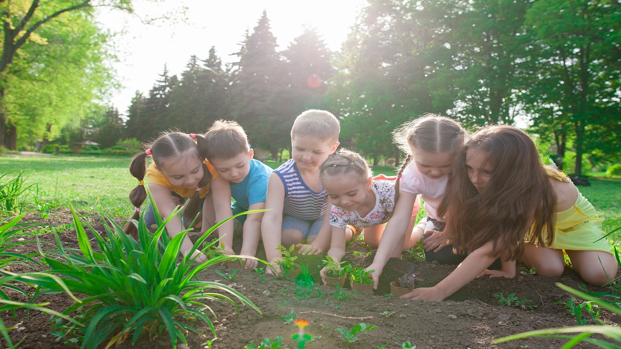 Olsztyn -  Jura, kolonia,  a mo�e jurajskie morze?