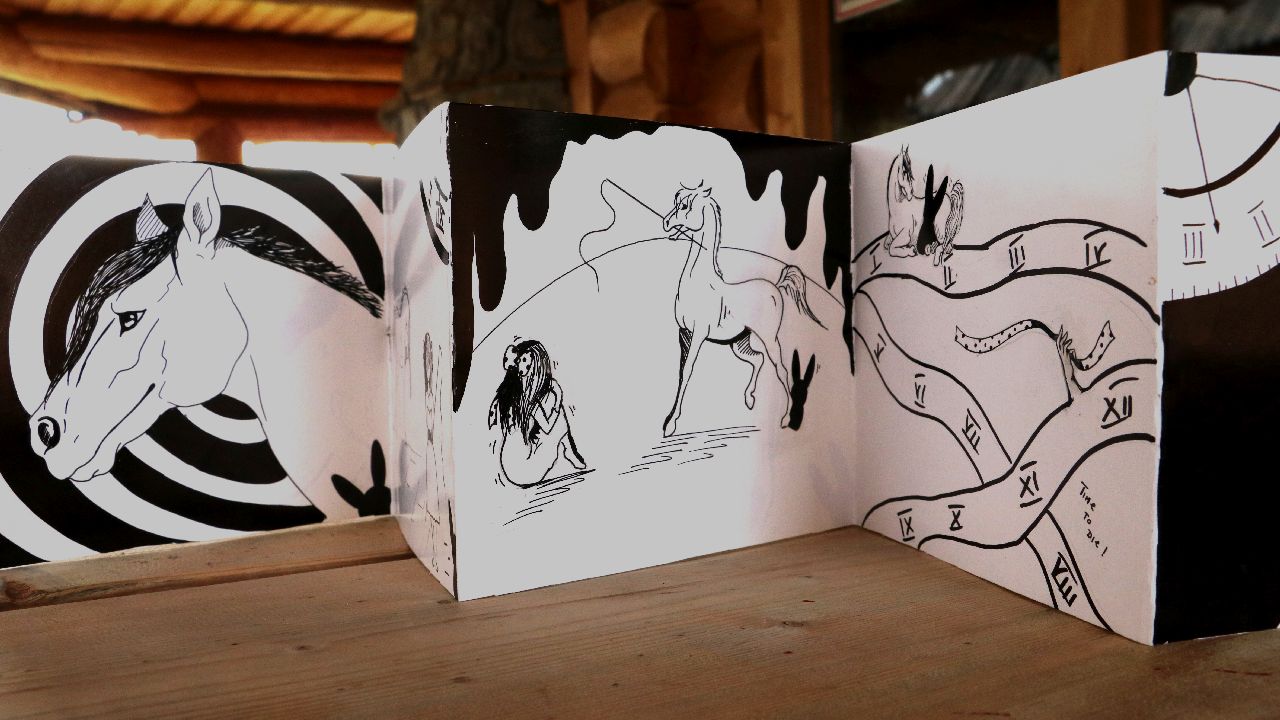 Murzasichle - ob�z plastyczny