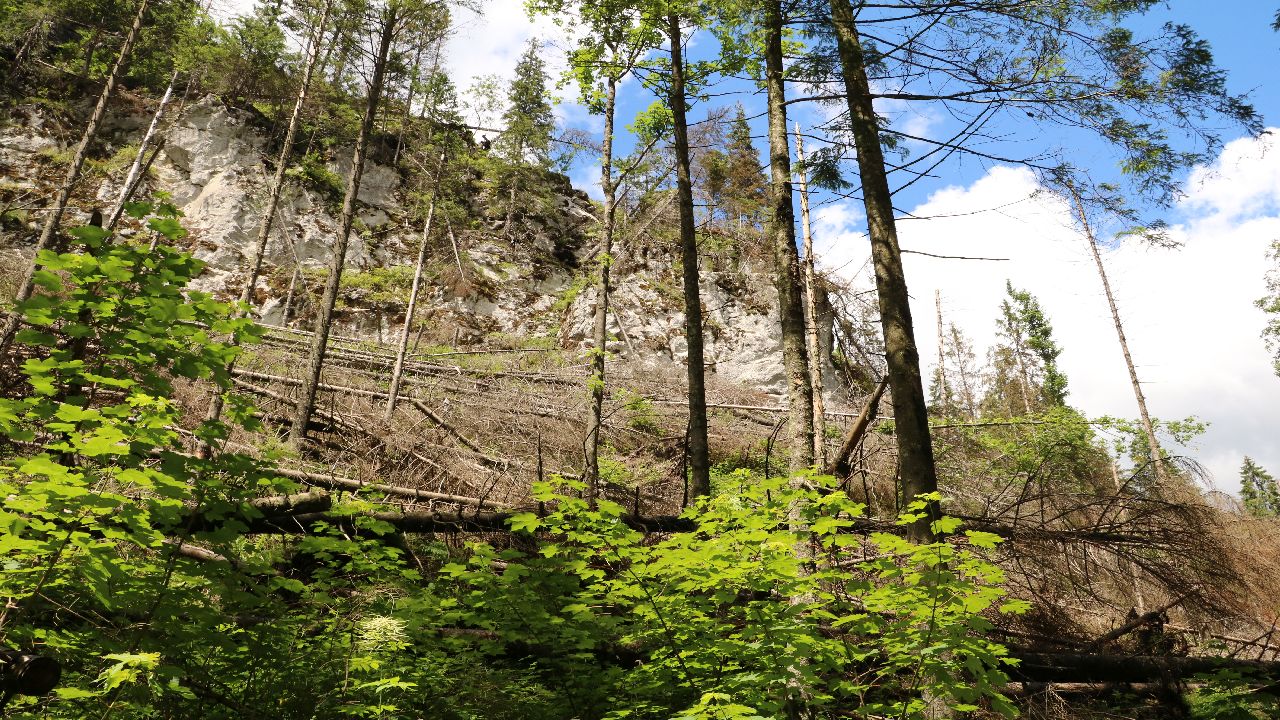 Murzasichle - ob�z Tatrza�skie Aquaparki