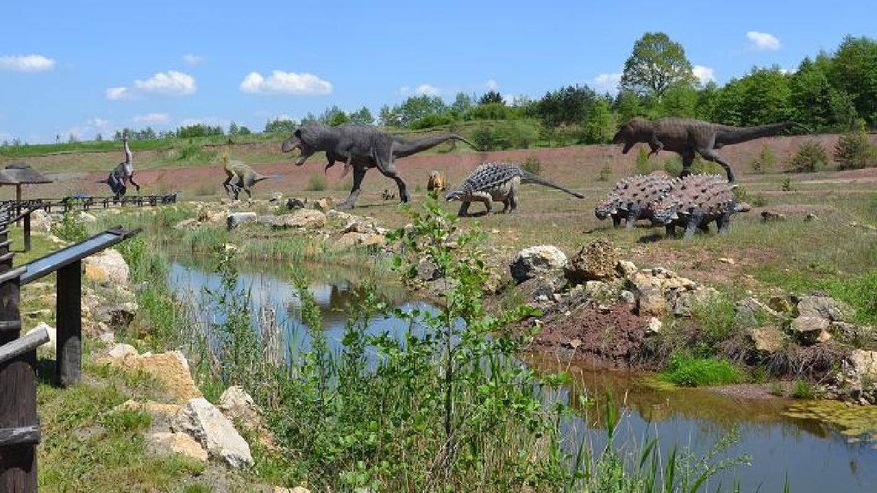 Krasiej�w - Klub Urwisa DinoCamp
