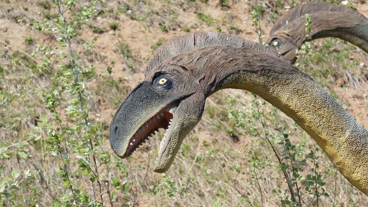 Krasiej�w - Klub Urwisa DinoCamp