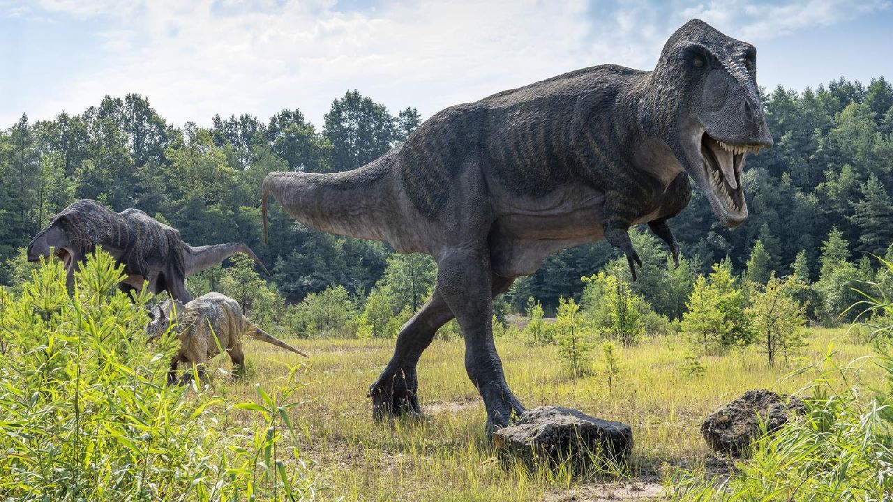 Krasiej�w - Klub Urwisa DinoCamp