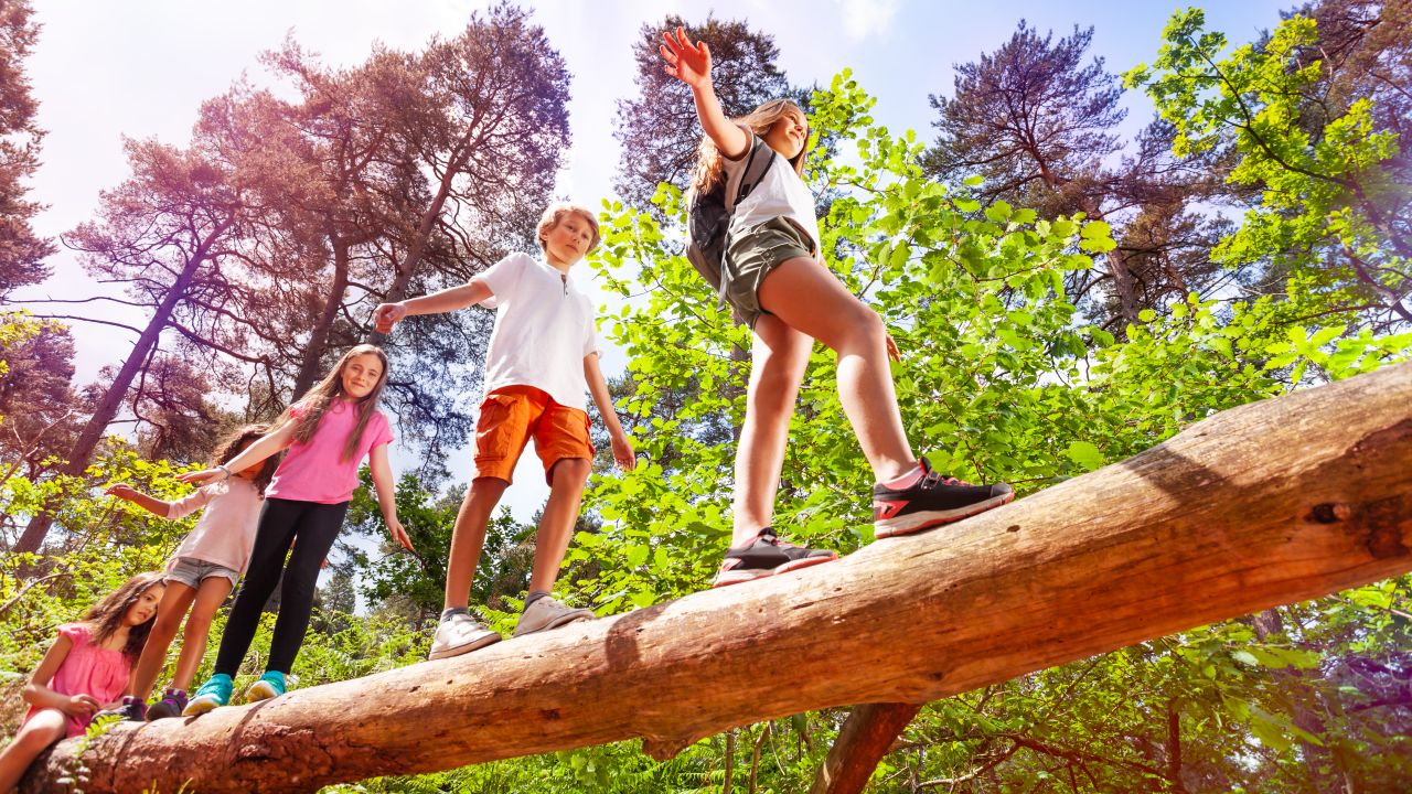 Szklarska Por�ba + Drezno - ob�z Parki Wodne