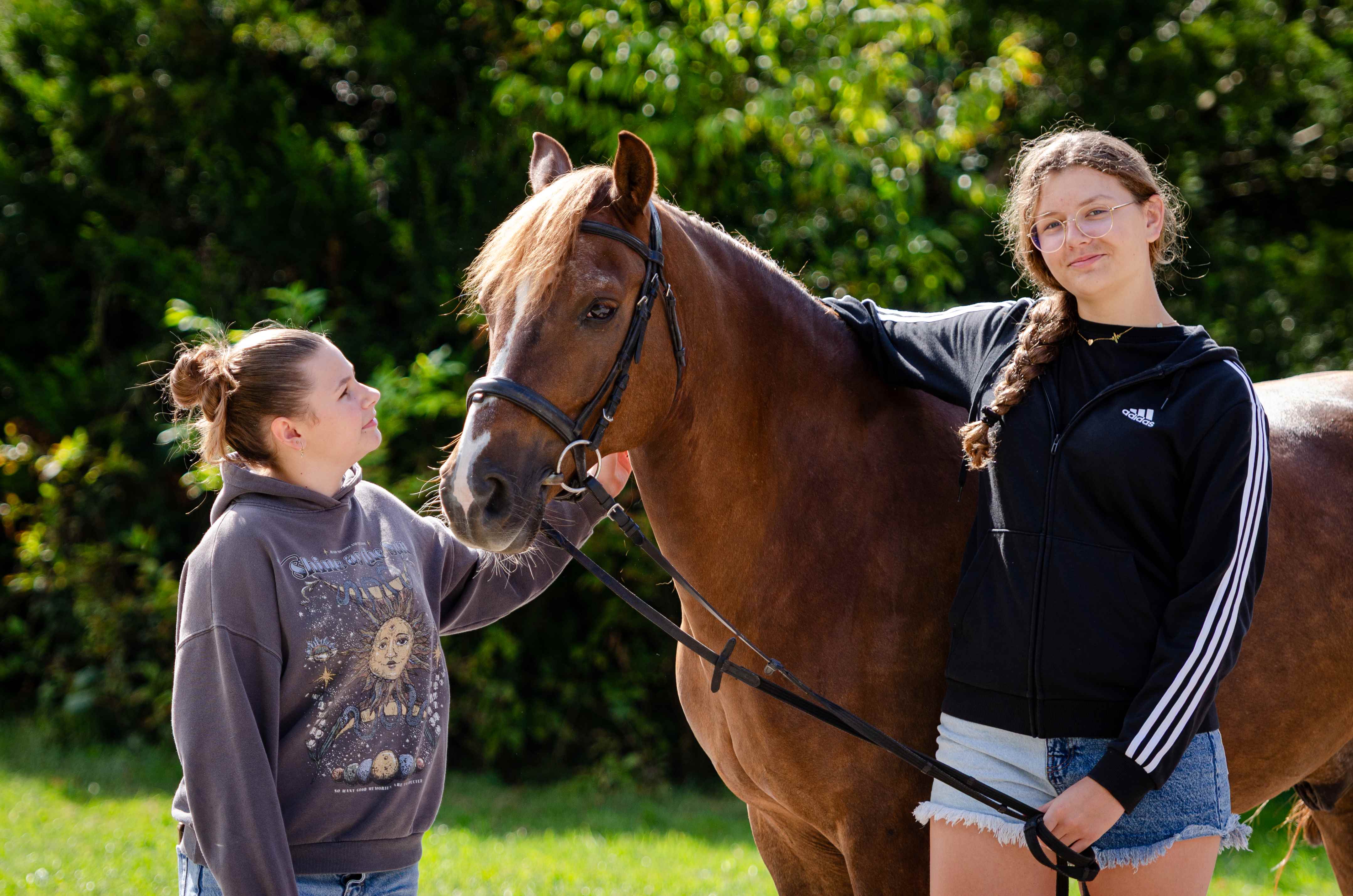 Zbros�awice - kurs pracy z ziemi z koniem