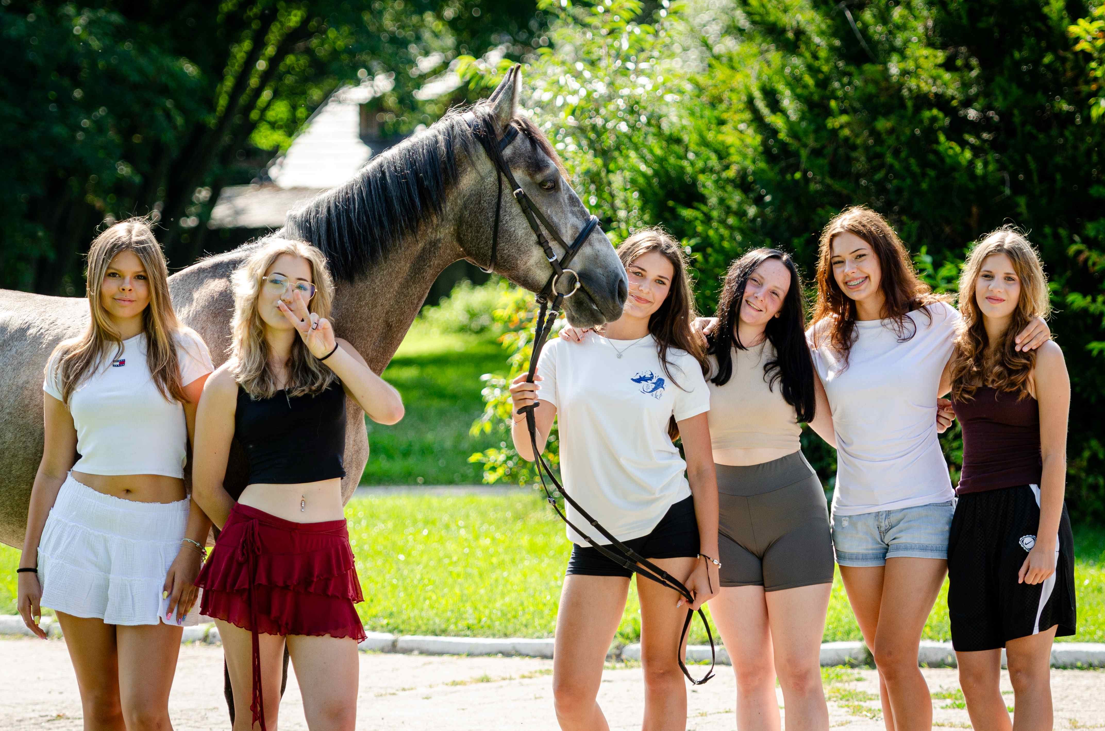 Zbros�awice - ob�z je�dziecki dla pocz�tkuj�cych