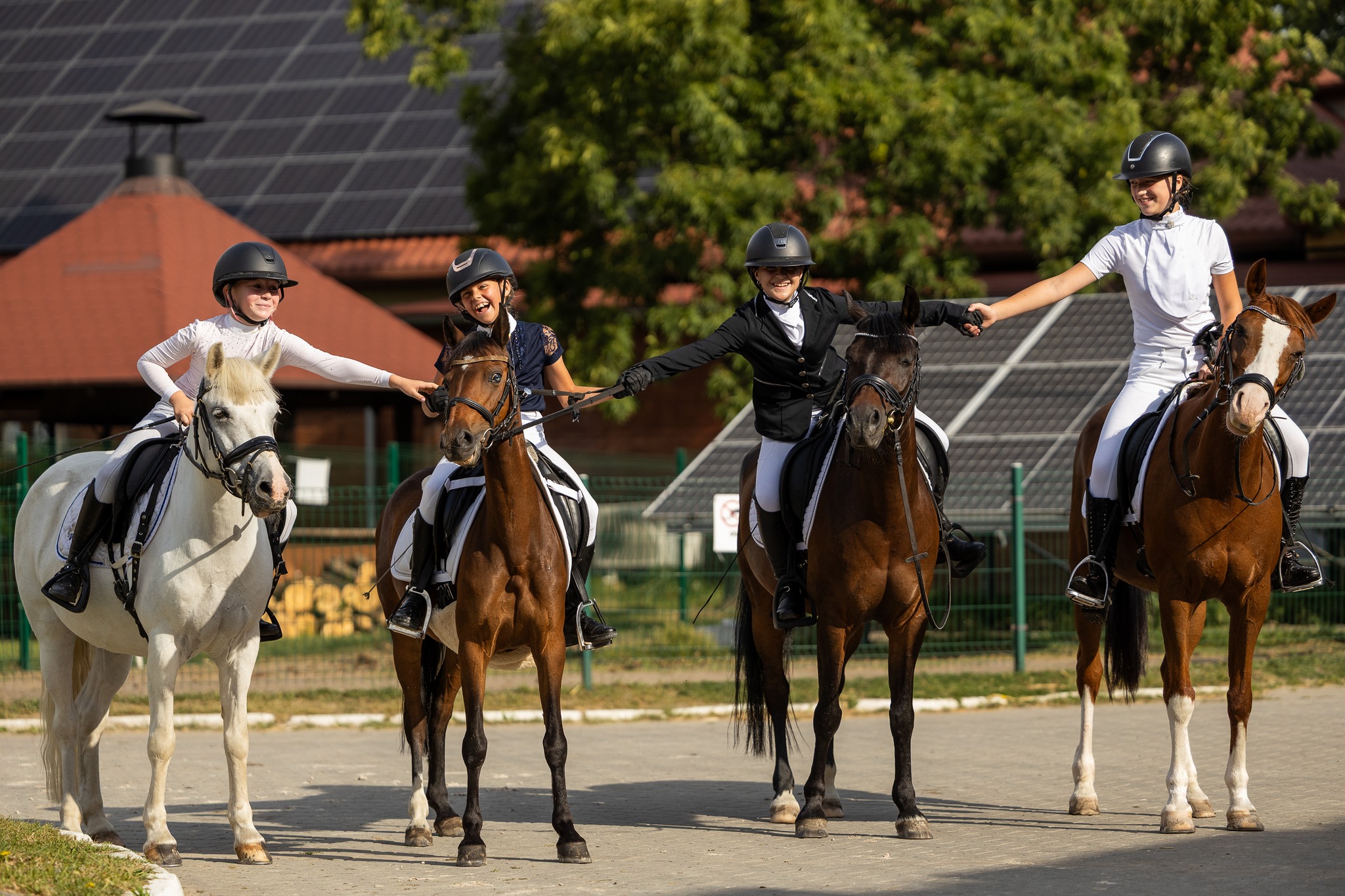 Zbros�awice - kurs je�dziectwa