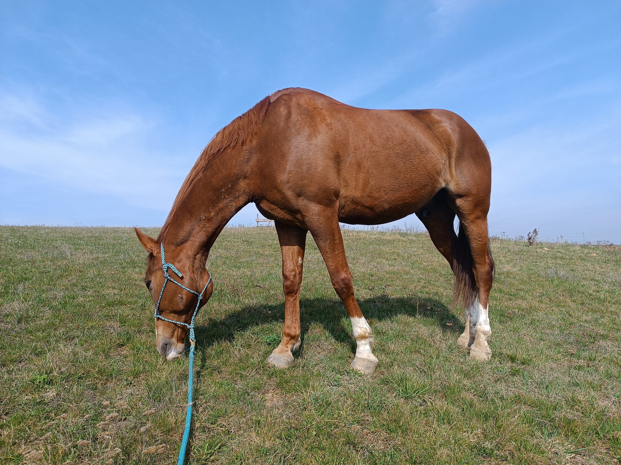 Zbros�awice - kurs pracy z ziemi