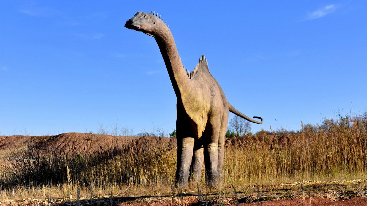 Krasiej�w - ob�z robotyki z wykorzystaniem klock�w LEGO*